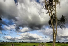开元体育-绿茵场上的独舞，当贝蒂斯遭遇荷兰，拉什福德如何成为全场唯一焦点
