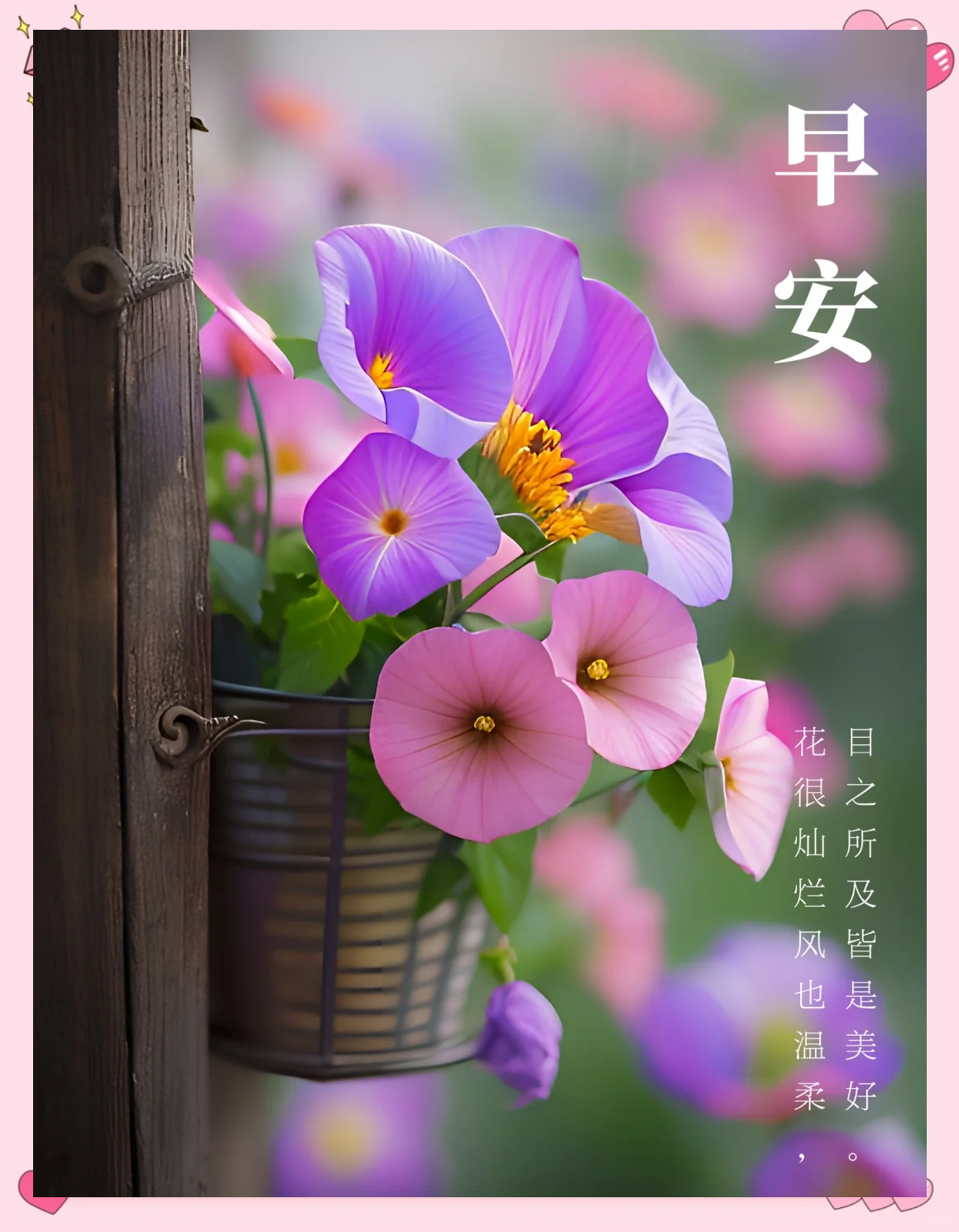 勇敢拼搏，赢得掌声和尊重的鲜花的简单介绍