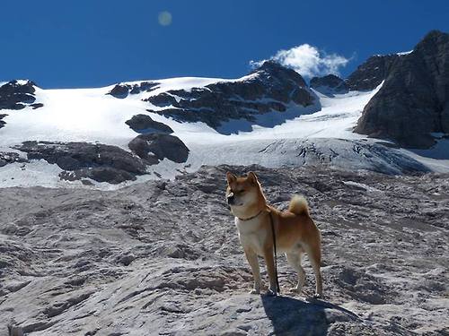 奥运前哨战，利拉德关键接管诠释巨星价值，勇士狂胜活塞展露冠军底蕴